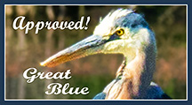  Approved! Great Blue