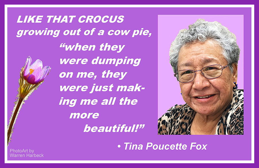 Like that crocus growing out of a cow pie, 'when they were dumping on me, they were just making me all the more beautiful!' —Tina Poucette Fox