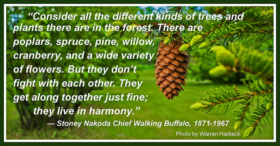 The quote from Walking Buffalo in the text, superimposed on a photo of trees featuring a pine cone